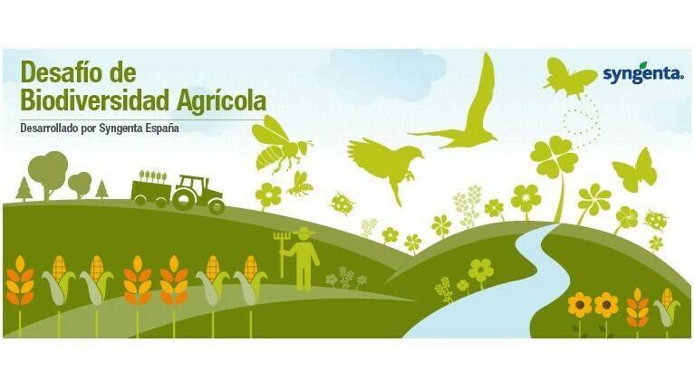 concurso-fotografico-diversidad-agricola|Meloe cavensis, raro escarabajo encontrado en la finca del proyecto, incluido en la lista roja de la UICN|Bandas florales de OPeración polinizador sembradas entre almendros